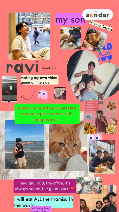ravi's moodboard